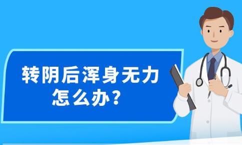 2025新澳精准正版免費資料,精选解析、解释与落实-警惕虚假宣传-精选解析、解释与落实